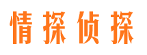 汉阳情探私家侦探公司